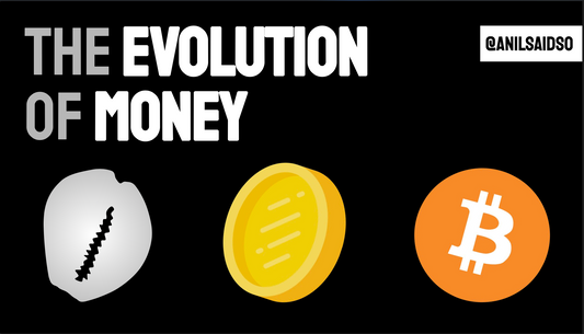 Evolution of Money 101